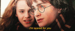 Harry Potter With Hermione Granger GIF