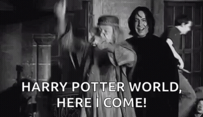 Harry Potter World Dumbledore GIF