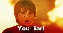 Harry Potter You Sit On A Throne Of Lies GIF