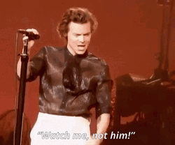 Harry Styles Narcissist Meme GIF