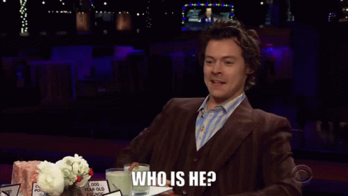 Harry Styles Sign Saying Who Is He GIF
