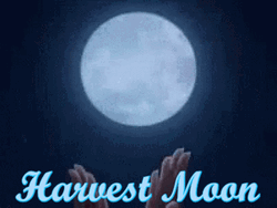 Harvest Full Moon Heart GIF