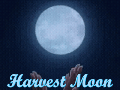 Harvest Moon Poster With Full Moon GIF