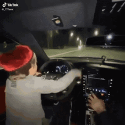 Hasbulla Cute Driving Car Night Road Trip GIF
