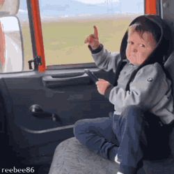 Hasbulla Sitting Car No Reaction Trending Meme GIF
