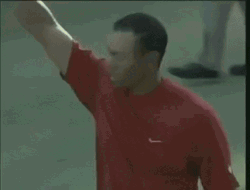 Hat Tip Tiger Woods GIF