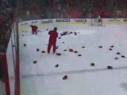 Hat Trick Capital Washington GIF