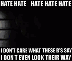 Hate Hate Hate Chelley Took The Night Video GIF