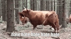 Hate Hate Hate Cow With Big Mouth GIF