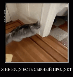 Hateful Slap Banana Cat Meme GIF