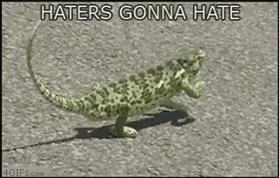 Haters Gonna Hate Dancing Lizard GIF