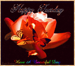 Have A Beautiful And Happy Aniimated Tuesday GIF