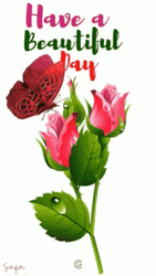 Have A Beautiful Day Butterfly Flapping GIF