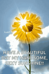 Have A Beautiful Day My Handsome Sexy Sunshine GIF