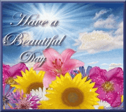 Have A Beautiful Day Sunshine Flowers GIF