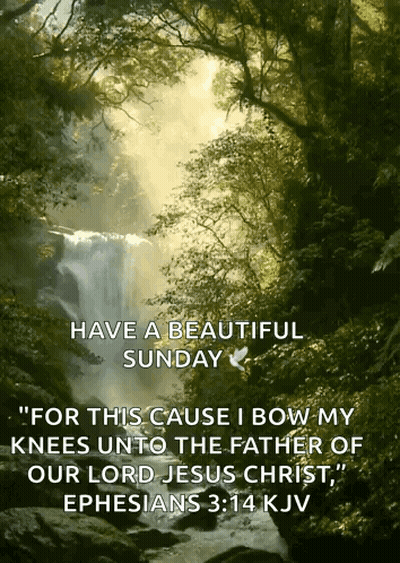 Have A Beautiful Sunday For This Cause I Bow My Knees Unto The Father Of Our Lord Jesus Christ Ephesias 3:14 Kjv GIF