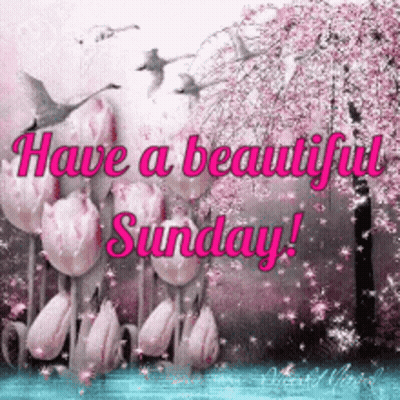 Have A Beautiful Sunday Greeting Card With Pink Flowers GIF