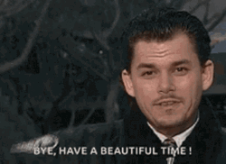 Have A Beautiful Time Bye Meme GIF