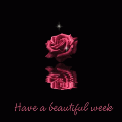 Have A Beautiful Week Sparkling Rose GIF
