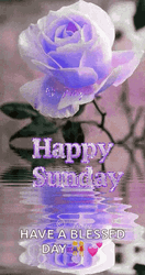 Have A Blessed Cute Sunday GIF