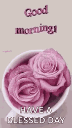Have A Blessed Day Pink Roses GIF
