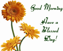 Have A Blessed Day Yellow Flower GIF