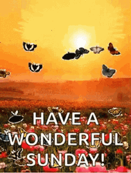 Have A Blessed Sunday Beautiful Sunrise GIF