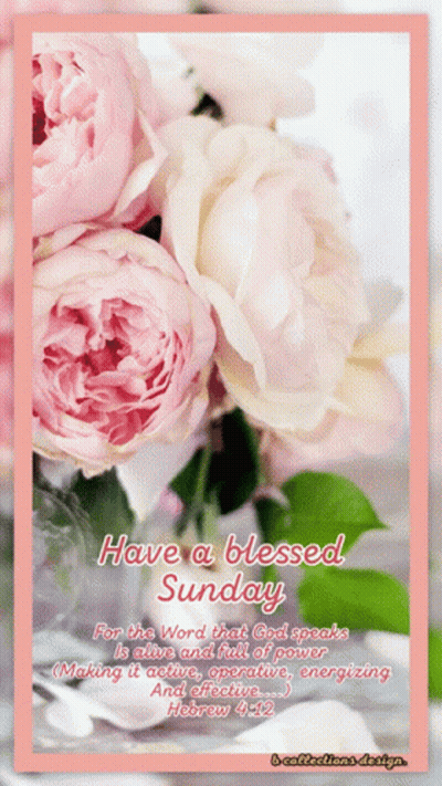 Have A Blessed Sunday GIF