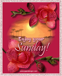 Have A Blessed Sunday Enjoy GIF