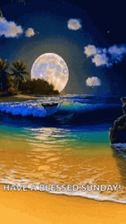 Have A Blessed Sunday Paradise GIF