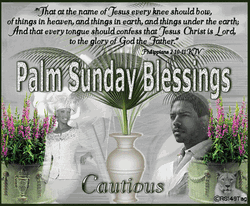 Have A Blessed Sunday Philippians Verse GIF
