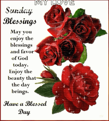 Have A Blessed Sunday Red Roses GIF