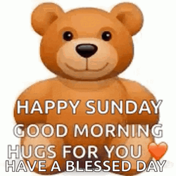 Have A Blessed Sunday Teddy Bear Hug GIF