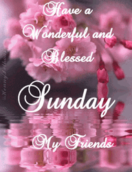 Have A Blessed Sunday Water Flowers GIF