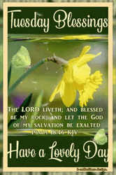 Have A Blessed Tuesday And Lovely Day GIF