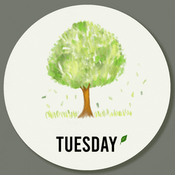 Have A Blessed Tuesday And Wonderful Week GIF
