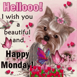 Have A Good And Beautiful Monday GIF