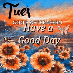 Have A Good Beautiful Tuesday  GIF