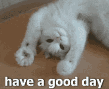 Have A Good Day Cat Paws Waving GIF