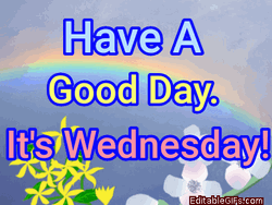 Have A Good Day Its Wednesday  GIF