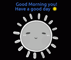 Have A Good Day Smiling Sunshine GIF
