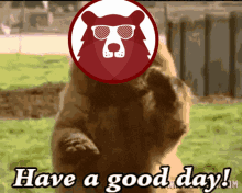 Have A Good Day Waiving Big Bear GIF