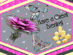 Have A Good Evening Butterfly Flowers Candles GIF