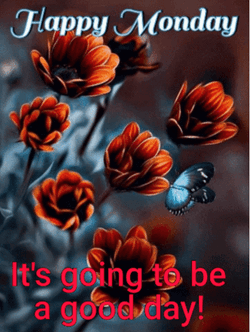 Have A Good Monday Great Day GIF