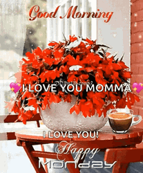 Have A Good Monday Red Flowers GIF