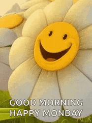 Have A Good Monday Smiling Flower GIF