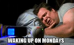 Have A Good Monday Waking Hard GIF