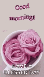 Have A Good Morning Blessing In Cup Of Flower GIF