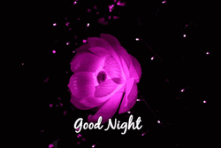 Have A Good Night Sweet Dreams Neon Flower GIF