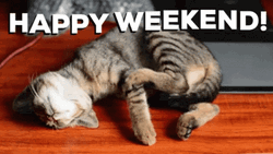 Have A Good Weekend Drowsy Little Kitty GIF